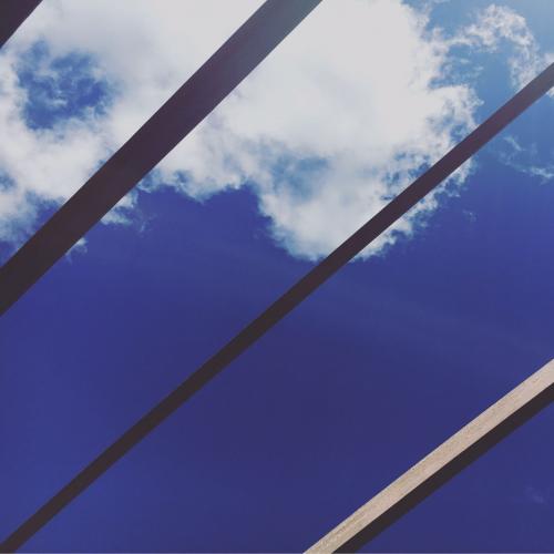 สมาชิกหมายเลข 3919811