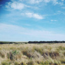 สมาชิกหมายเลข 1627152