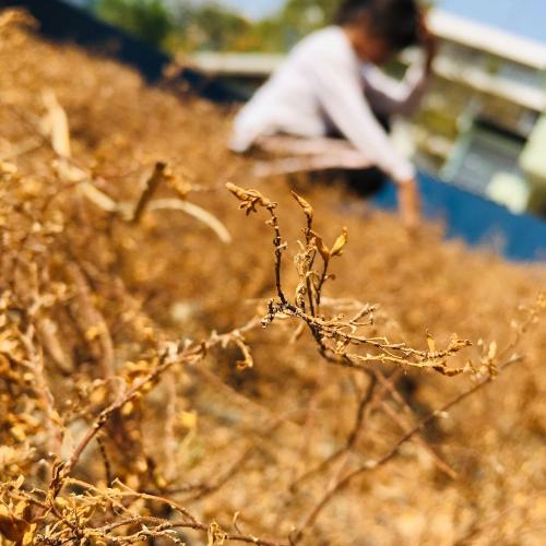 สมาชิกหมายเลข 5122926