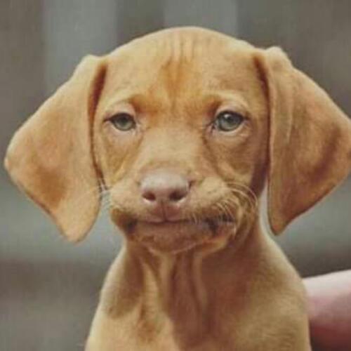 สมาชิกหมายเลข 5125358