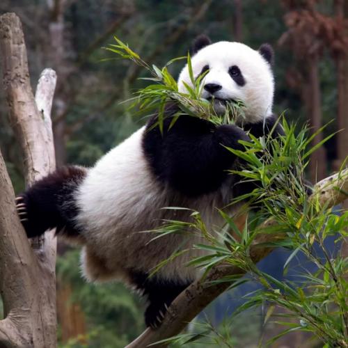 สมาชิกหมายเลข 5519347