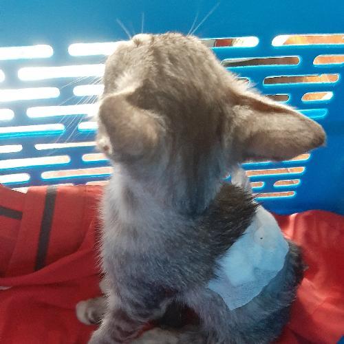 สมาชิกหมายเลข 5519379