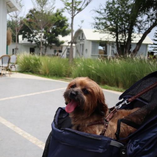 สมาชิกหมายเลข 6068590