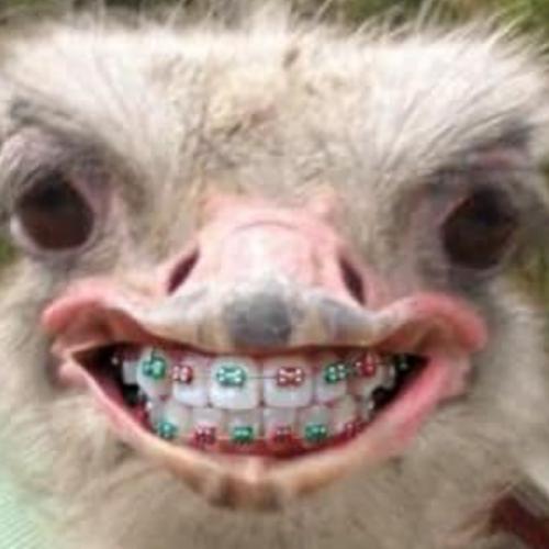 สมาชิกหมายเลข 6685500