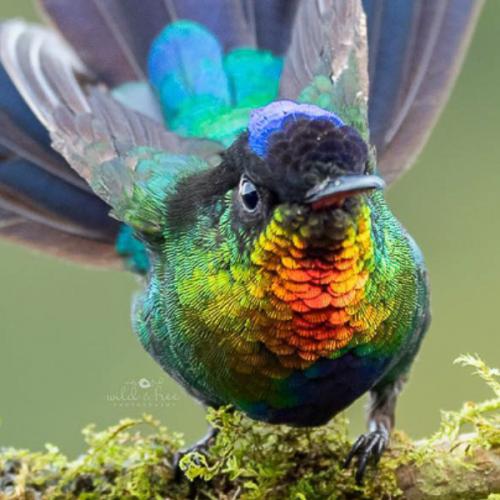 สมาชิกหมายเลข 6685836