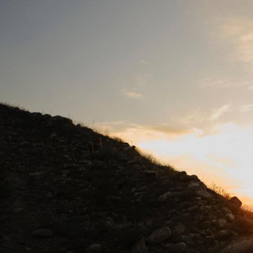 สมาชิกหมายเลข 6686888