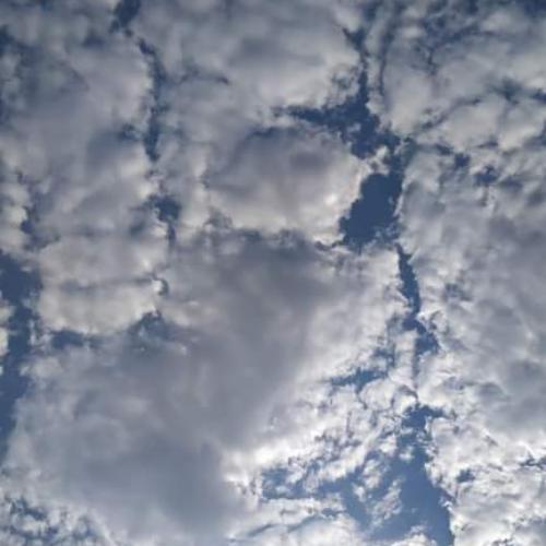 สมาชิกหมายเลข 6687068