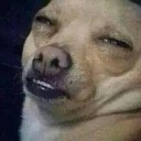 สมาชิกหมายเลข 2765168