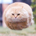 สมาชิกหมายเลข 4393771