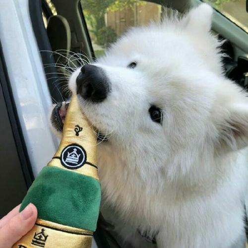 สมาชิกหมายเลข 5125599