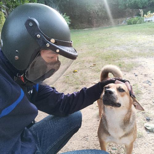 รอเวลากลับบ้าน