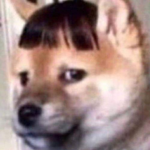 สมาชิกหมายเลข 5520024