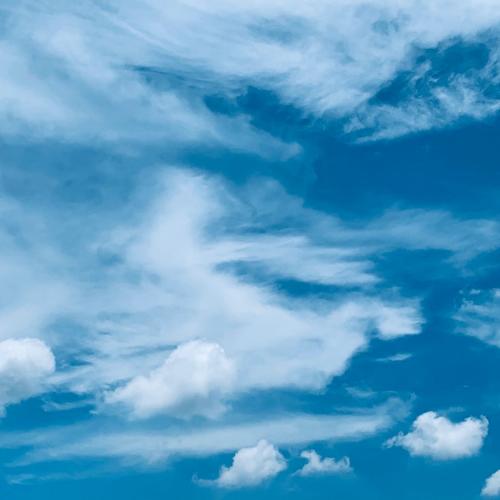 สมาชิกหมายเลข 1653631