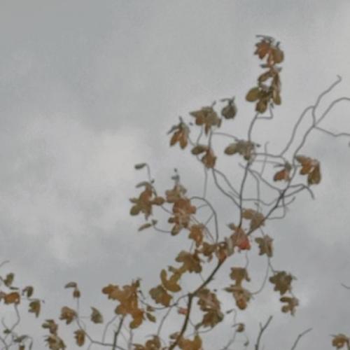 สมาชิกหมายเลข 6069151