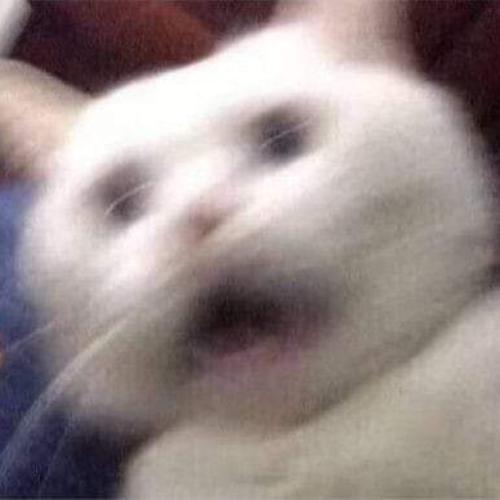 สมาชิกหมายเลข 6069185