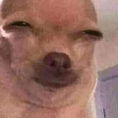 สมาชิกหมายเลข 6069264