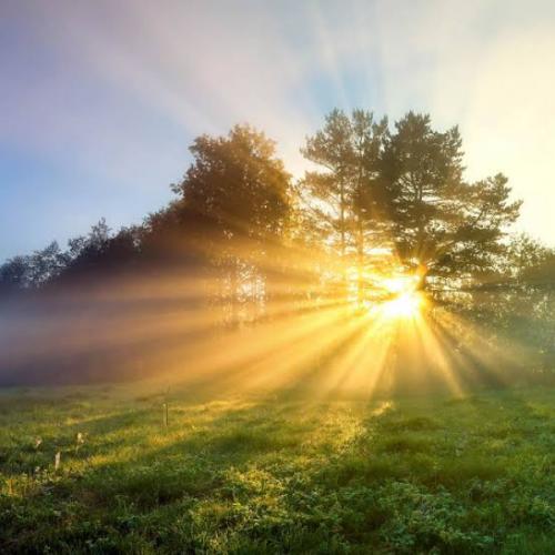 สมาชิกหมายเลข 7439363