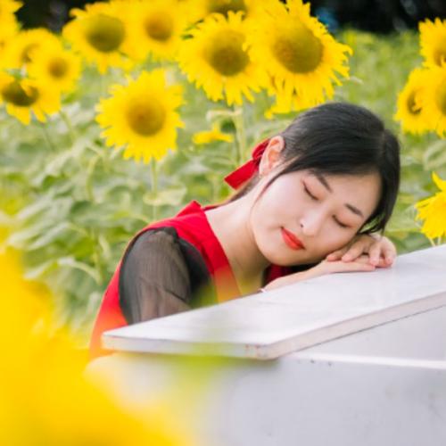 สมาชิกหมายเลข 8334290