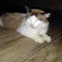 สมาชิกหมายเลข 3914803