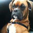 สมาชิกหมายเลข 3920505