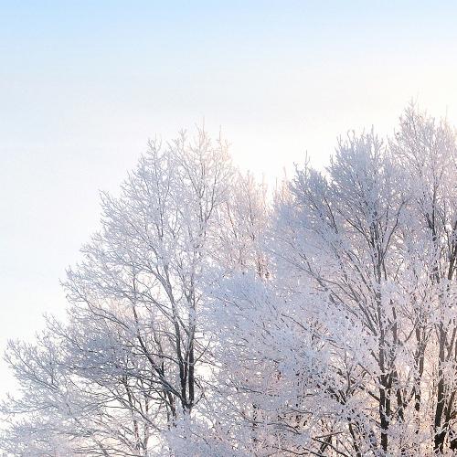 สมาชิกหมายเลข 1157008