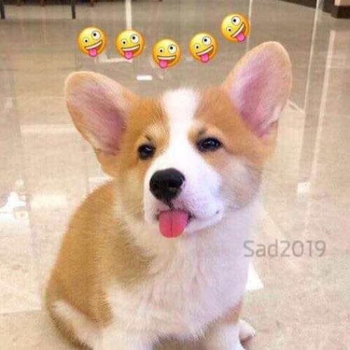 สมาชิกหมายเลข 4065376