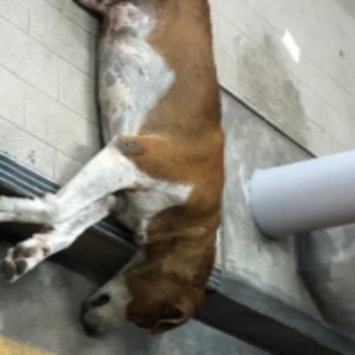 สมาชิกหมายเลข 6069735