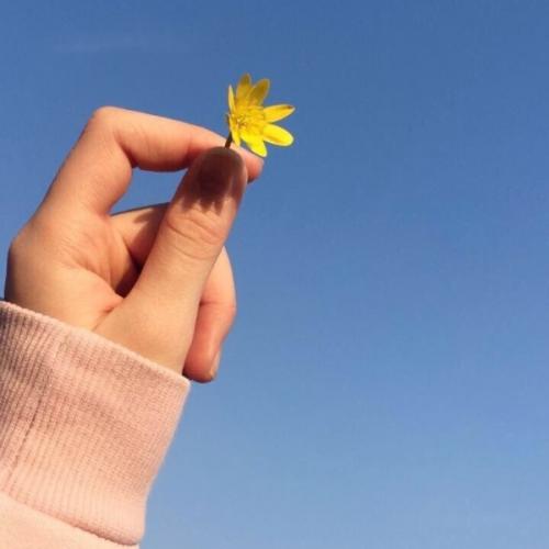 สมาชิกหมายเลข 6069812