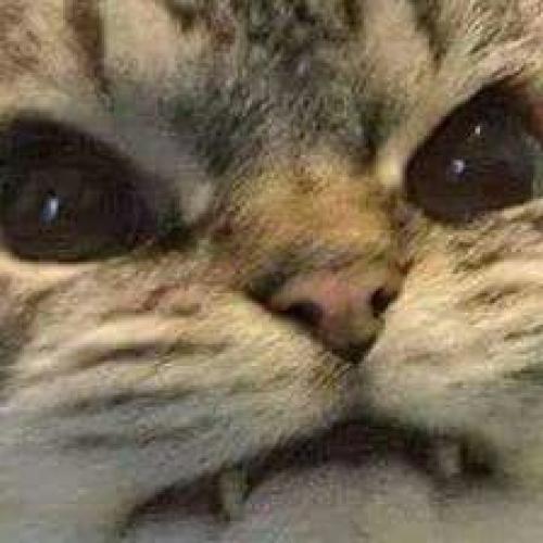 สมาชิกหมายเลข 6070026