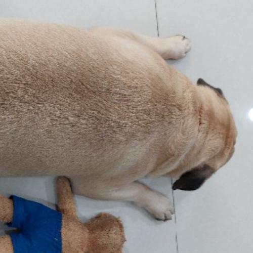 สมาชิกหมายเลข 5164776