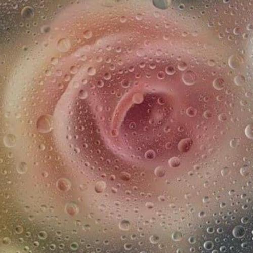 สมาชิกหมายเลข 4310474