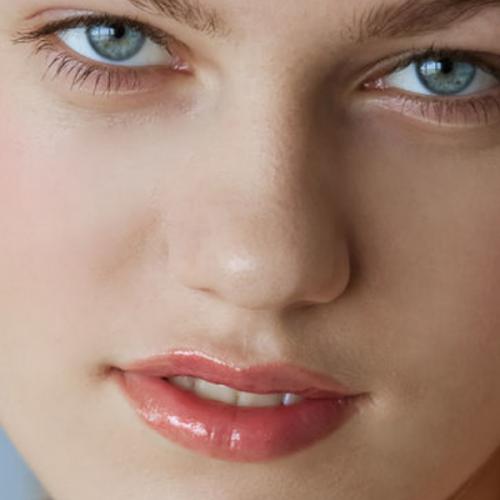 สมาชิกหมายเลข 7440299