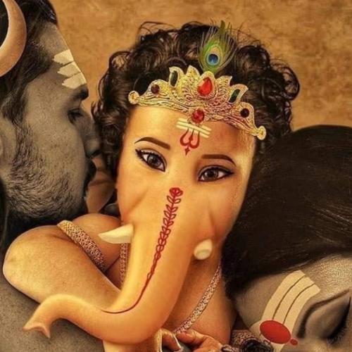 สมาชิกหมายเลข 7440312