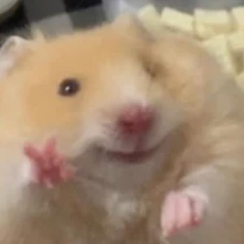 สมาชิกหมายเลข 6691220