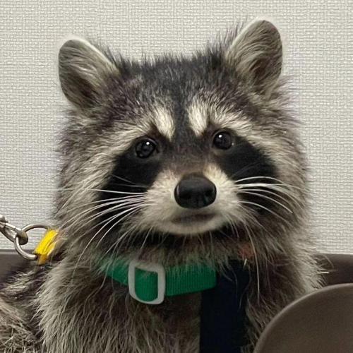 สมาชิกหมายเลข 7204218