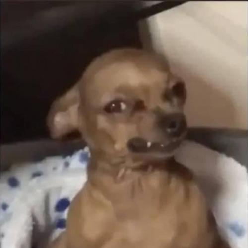 สมาชิกหมายเลข 8177084