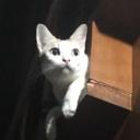 สมาชิกหมายเลข 1939229