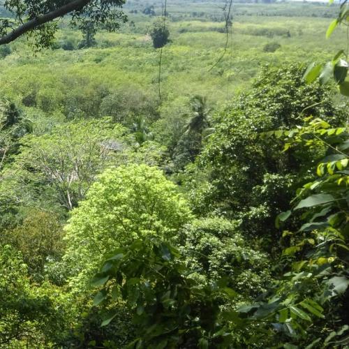 สมาชิกหมายเลข 4751014