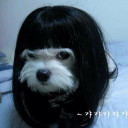 ฉีดยาให้ฉันตายไปเถอะหมอ