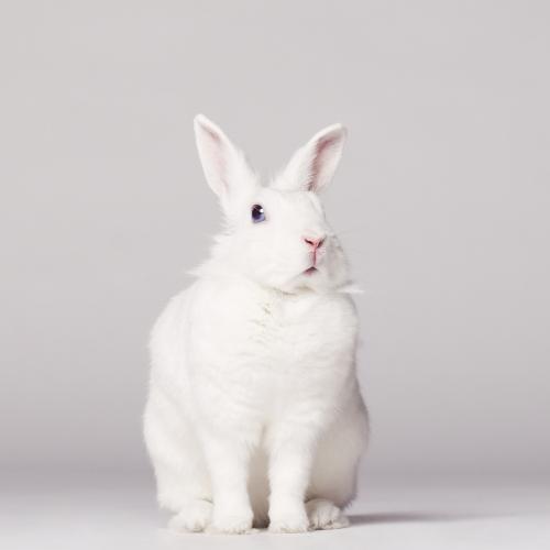 สมาชิกหมายเลข 5121222