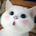 สมาชิกหมายเลข 5520770