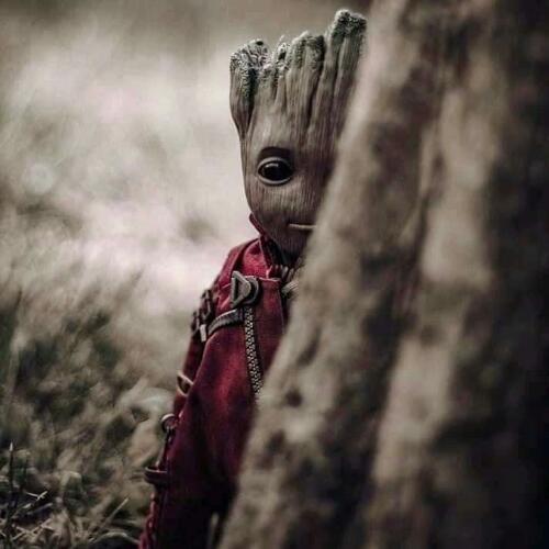 สมาชิกหมายเลข 5520811