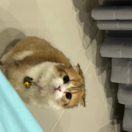 สมาชิกหมายเลข 4305790