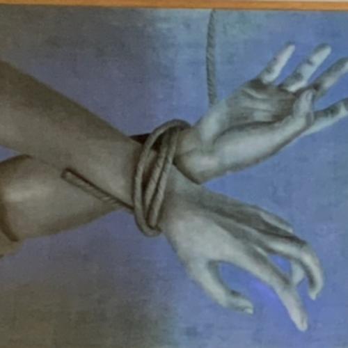 สมาชิกหมายเลข 6816300