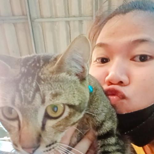 สมาชิกหมายเลข 7440790