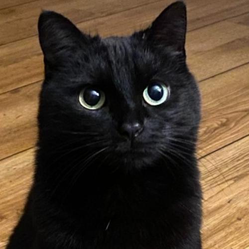 สมาชิกหมายเลข 6862256