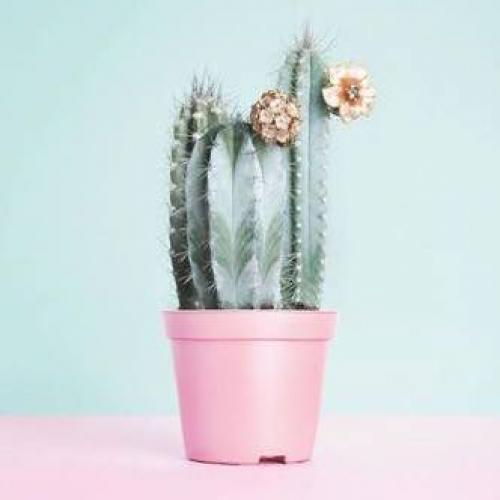 สมาชิกหมายเลข 3797379