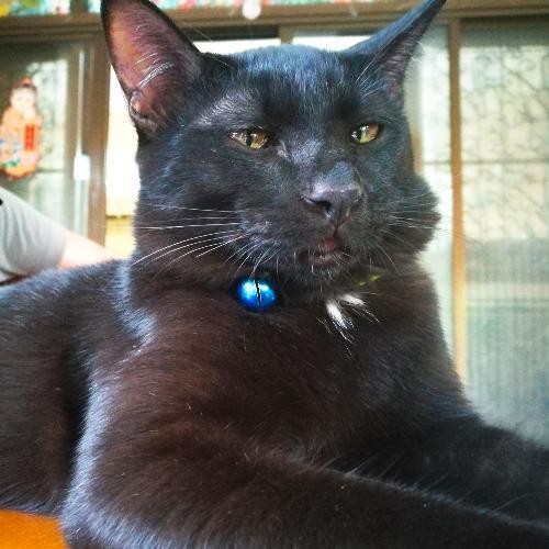 สมาชิกหมายเลข 1701326