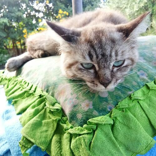 สมาชิกหมายเลข 4751638