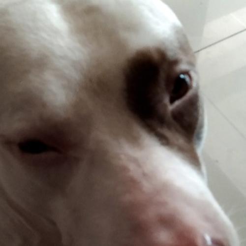 สมาชิกหมายเลข 6070994